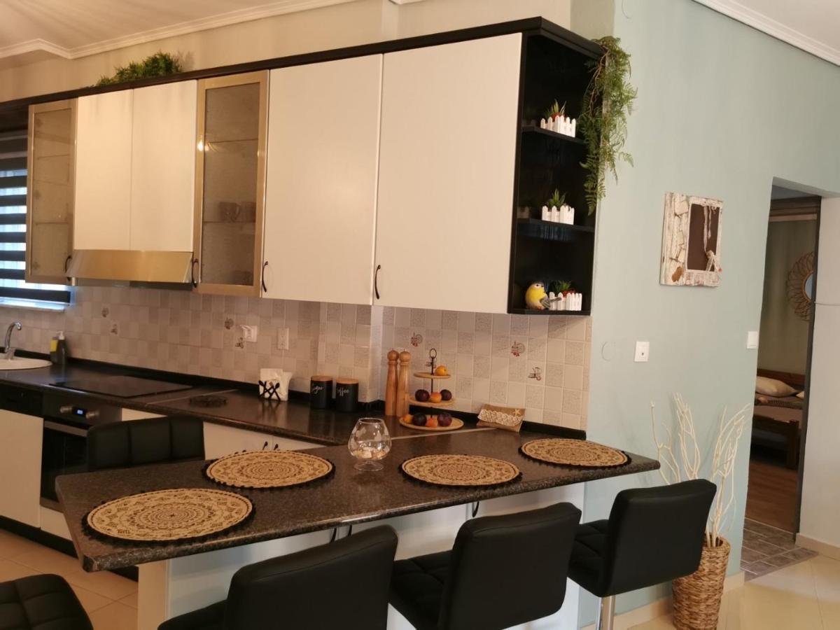 Theia Analipsi Central Apartment Katerini Exterior photo